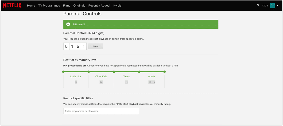 Netflix nw-2-5 Fault SOLVED BT Parental Controls